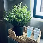 Stary Apartment *