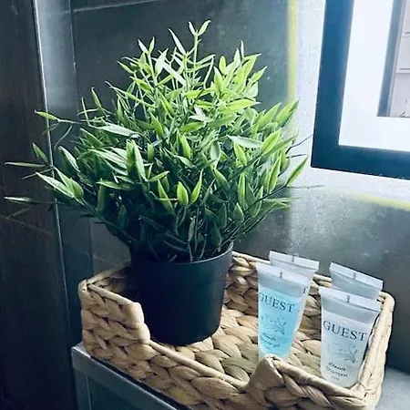 Stary Apartment *