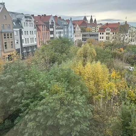 Stary * Szczecin